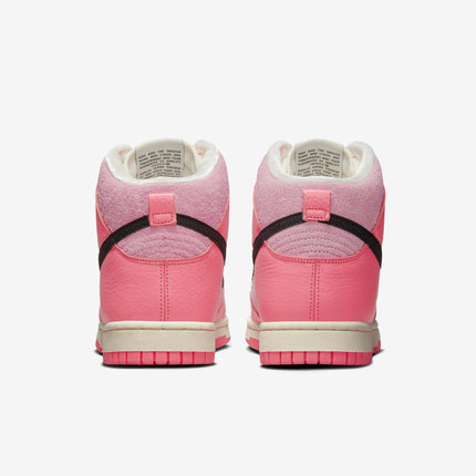 (Women's) Nike Dunk High 'Hoops' (2022) DX3359-600 - SOLE SERIOUSS (5)